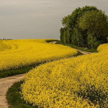 Eco Gite Argonne, Gite Insolite Lisle-en-Barrois Bagian luar foto