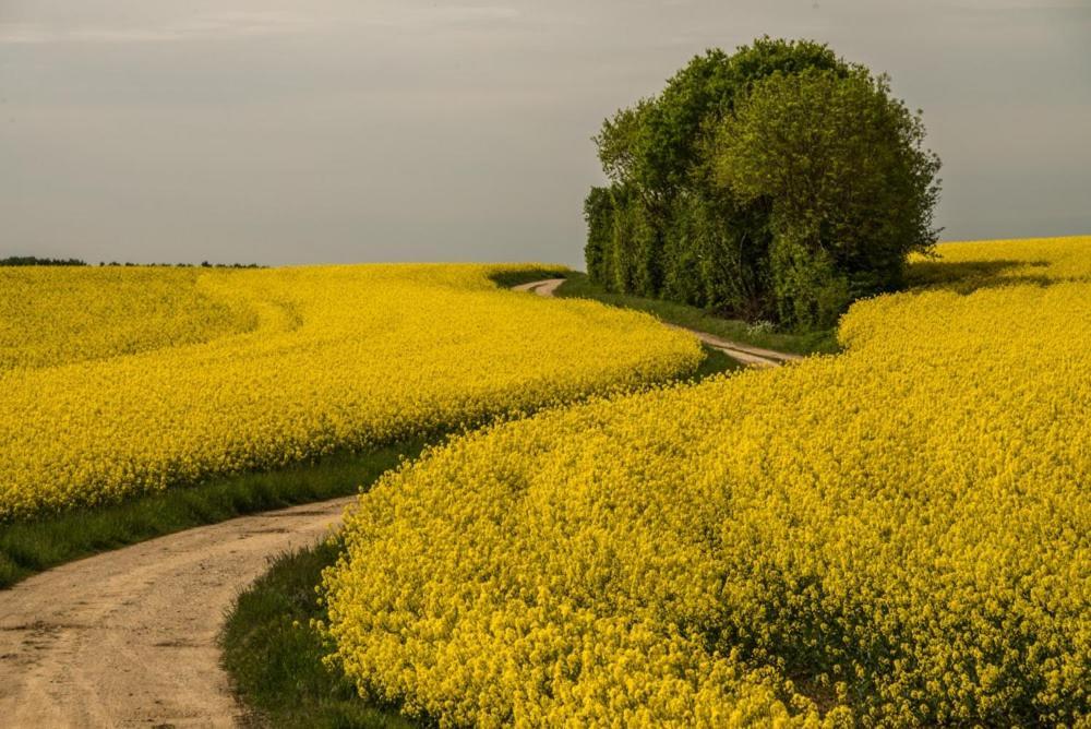 Eco Gite Argonne, Gite Insolite Lisle-en-Barrois Bagian luar foto